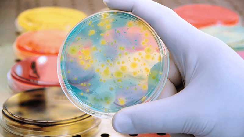 离心管OEM代工：揭秘生物实验中的隐形英雄**