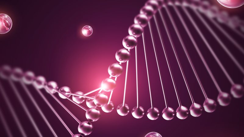 CDMO商业化生产服务：揭秘药物研发的“幕后英雄