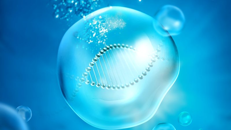 生物制品原料批发：揭秘其背后的技术密码**