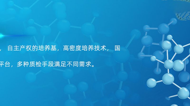 如何在CRO优化中巧妙平衡用户体验