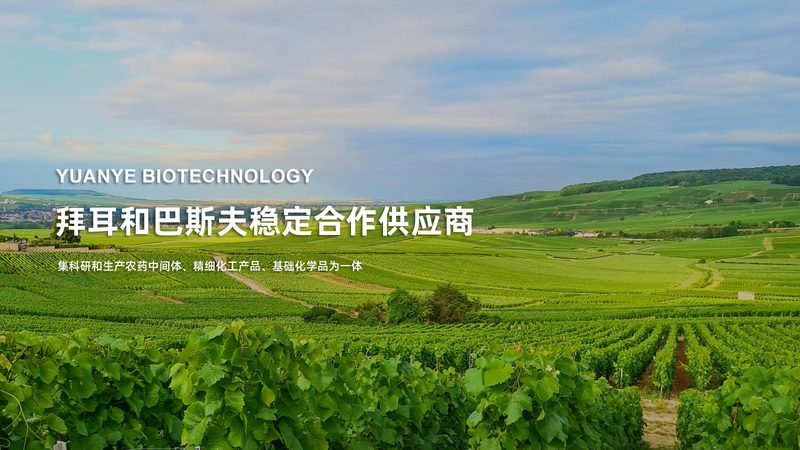 十强榜单之外：生物科技企业的真实竞争力如何判断