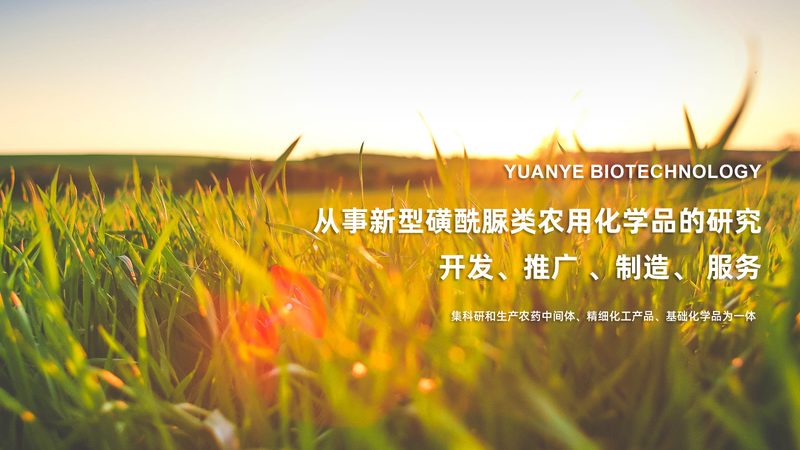 离心管代理合同模板：如何确保合作双方的权益