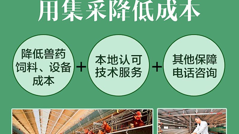 揭秘上海细胞工厂：品牌排名背后的科技力量