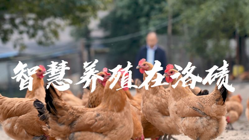 工业PCR设备材质选择与散热设计解析