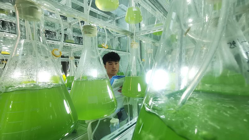 进口分子生物学试剂：如何选择合适的批发供应商**
